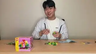 Lego 40522 goods(my first youtube video)