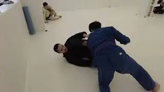 박성후 (브라운벨트) vs 신철희 (퍼플벨트)