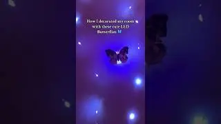 Amazing LED Lights Under $7 for 24pcs! #butterfly #butterflies #ledlight