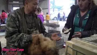 Fox Valley Rc Small Animal & Poultry Swap Meet April 15,2017