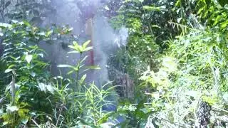 Honeybee Harvesting in Primitive Way: Detailed Vlog.