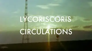 Lycoriscoris - Circulations