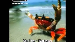 The Prodigy - Narayan (Metal cover)