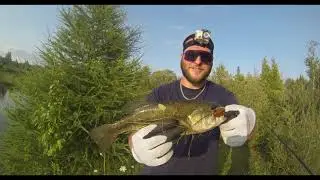 Orangeville Bass Fishing (FISH RESCUED)