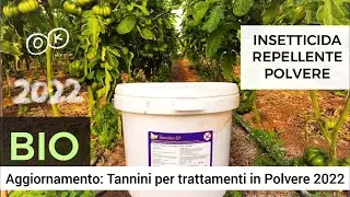 Aggiornamento Trattamenti Polverulenti 2022