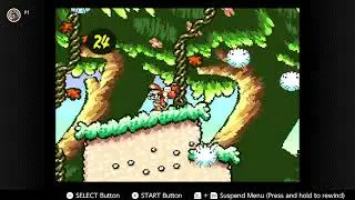 LSD Time (Super Mario World 2 Yoshi's Island)