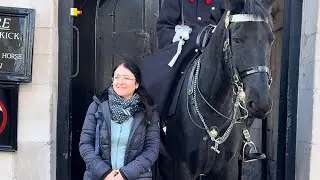 Treat it like home. They Stand right next to the King’s Horse. 