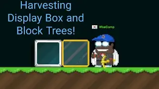 Growtopia | Harvesting Display Box And Display Block Tree!