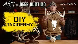 TOP 5 DEER MOUNTS | Taxidermy 101...