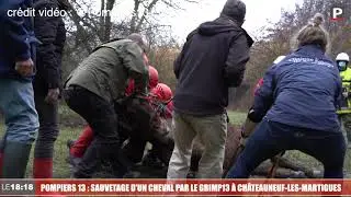 Sauvetage d'un cheval par le GRIMP13