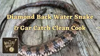 Catching & Cooking Wild &ndash; Barbecued Diamondback Water Snake + Roasted Gar with Garden Veggies!