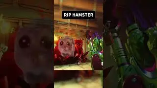 Overwatch 2 Glitch Kills Hamster..