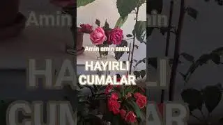 Cumamız m&uuml;barek olsun #keşfetteyim #shortsvideo