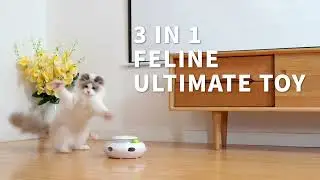All for paws - 3 in 1 feline ultimate toy
