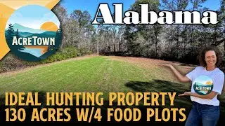 Alabama Hunting Land for Sale near Birmingham | 130 acres | 4 Food Plots | Interior Roads & Stands