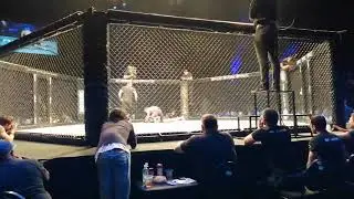 EFC 78 - Grand West Arena, Cape Town