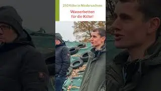 Wasserbetten f&uuml;r K&uuml;he mit Kalk + Strohmehl! @Tierwohl