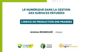 L' indice de production des prairies - A. ROUMIGUIÉ