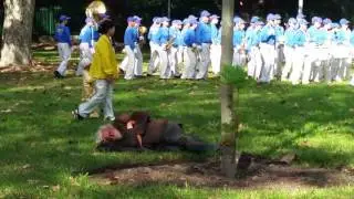 Falun Dafa / Falun Gong Day in Sydney 2016