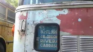 Buses viejos
