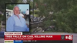 Tree falls killing driver in Douglas County