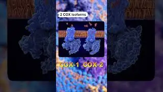 How NSAIDs Work | Simple Explanation for Medical Students