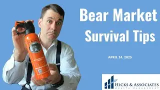 Bear Market Survival Guide