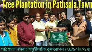 Tree Plantation in Pathsala Town