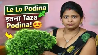 Le lo podina itna Taza Podina!😍 Vlogs video #SanjaySinghVlogs #souravjoshivlogs 