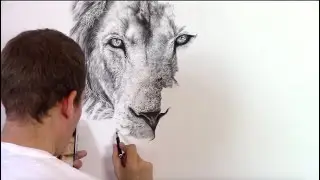 Working On My Big 40 x 76 inch Lion Drawing