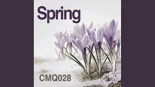 Lost Forms (Original Mix)