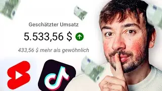 Ich habe 30 Tage anonyme Tiktoks gepostet & __€ verdient | Side Hustle Selbstexperiment