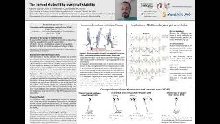 The current state of the margin of stability (ISPGR 2022 World Congress Poster Presentation)