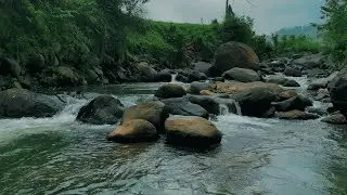 Tranquil Stream in the Mountains – Relaxing River & Water Sounds for Rest