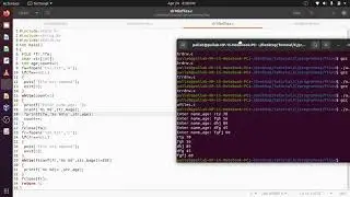 ch10 C file Input Output