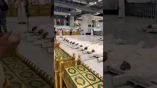People Died During Hajj 2024 #hajj #hajj2024 #deathinhajj #fypシ #fyp #death #foryou #makkah #islam