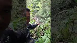 melihat bayangan di atas tebing #hutan #papua #fypyoutube