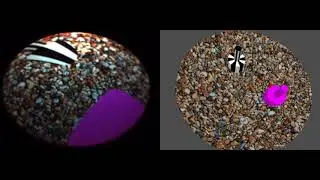 FishVR - demonstration of two-alternative forced choice paradigm