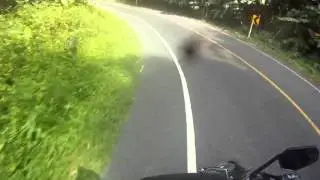 THAILAND KTM SUPERDUKE 1290R  Full Power 180hp jungle road phang na to Krabi