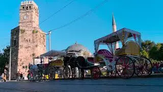 Horse carriage in Market Place | Royalty Free Videos | #Shorts