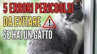 5 Errori Pericolosi da Evitare Se Hai un Gatto😱🐈🥰