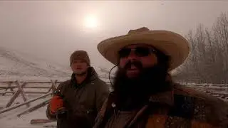 Log Wizard review Building Fence