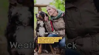 Hiking Guide for You & Your Pup: A Paw-some Adventure Together!