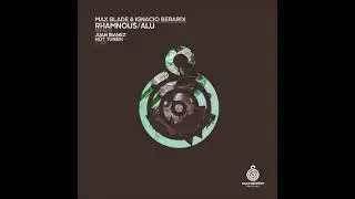 Max Blade & Ignacio Berardi - Rhamnous (Original Mix) [SOUNDTELLER RECORDS]
