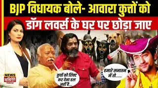 SC Decision On Stray Dogs: Mahesh Landge के बयान से हंगामा, Dhirendra Shastri की प्रतिक्रिया वायरल