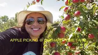 APPLE PICKING @ ORCHARD HOME FARM