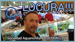 AQUARIOPHILIE EAU DOUCE | Mercado de Peces en Francia