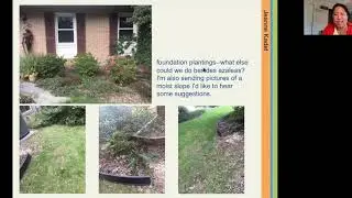 Foundation Plantings 