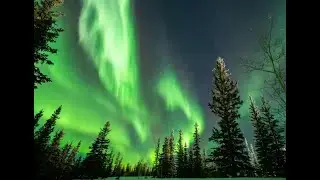 Northern Lights, Where We Both Belong - DJ Love's Lottery ( Official Visualizer Video )
