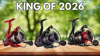 2026 Top Shimano Spinning Reels: The Ultimate Buyer&rsquo;s Guide